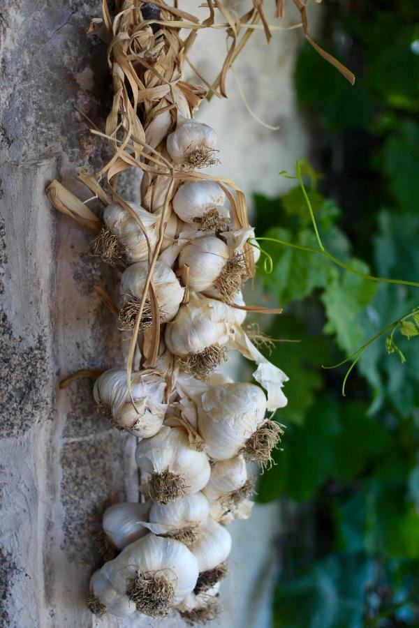 Bed and Breakfast Shenmen Beaune d'Allier Экстерьер фото